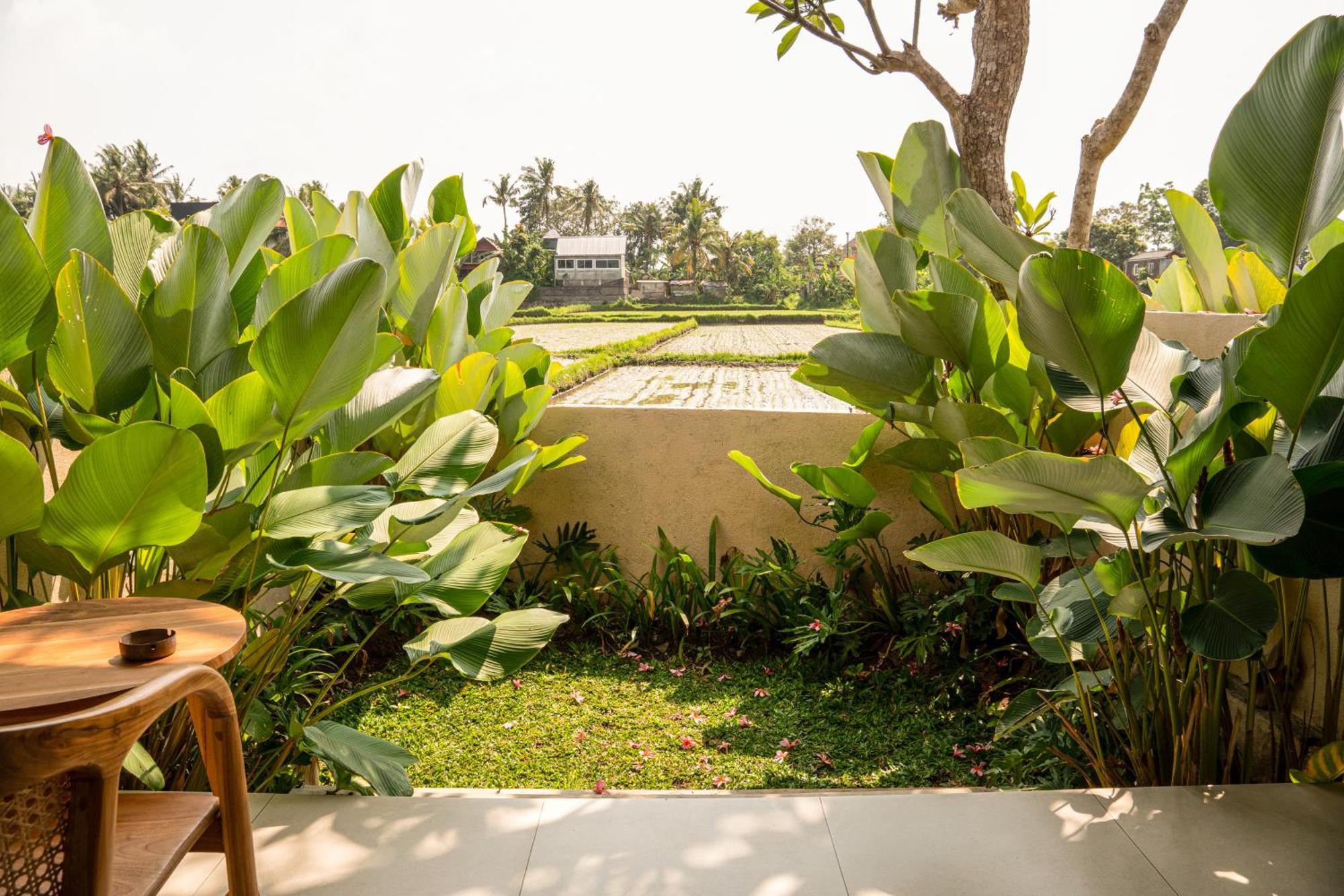 Tut Winten Villa Ubud المظهر الخارجي الصورة